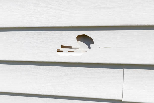 Best Siding Painting and Refinishing  in Brawley, CA